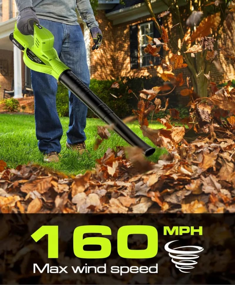 Cordless Electric Leaf Blower