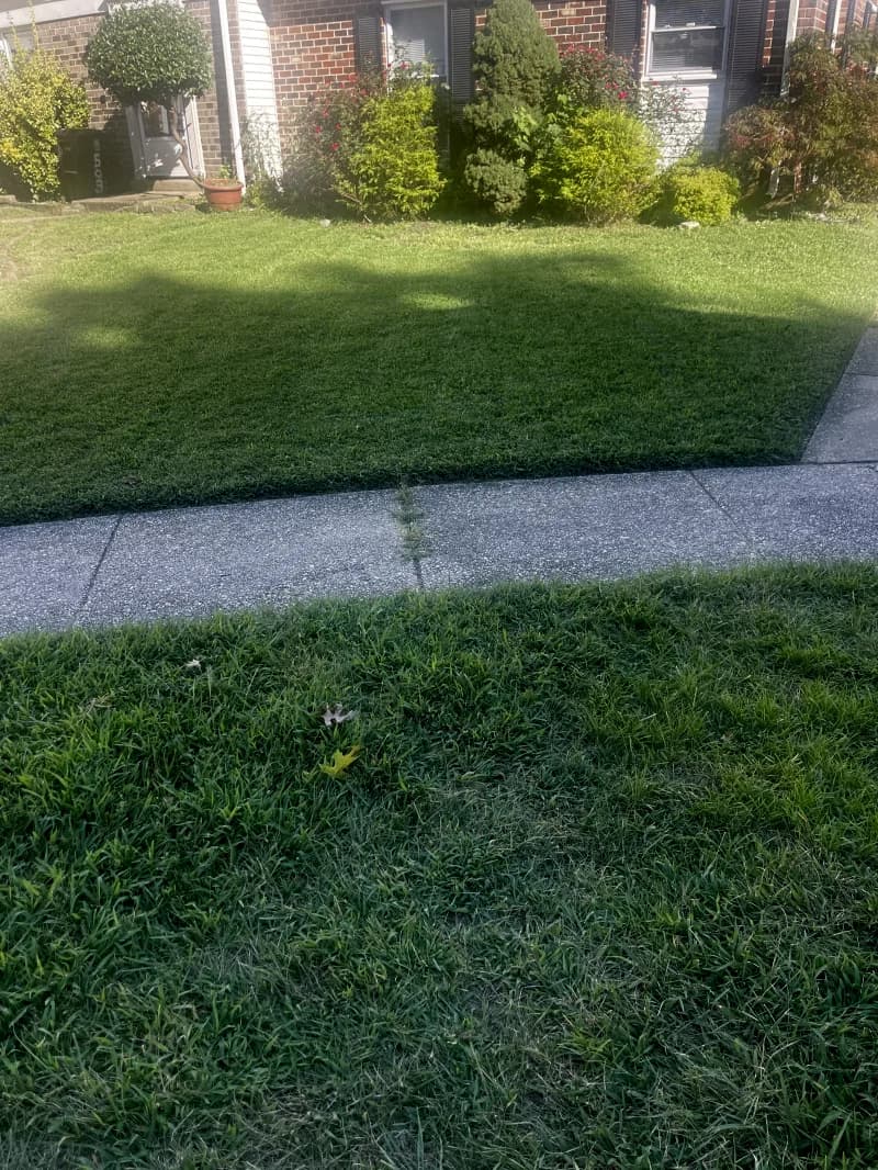 Stihl Edgers — photo 2 of 3