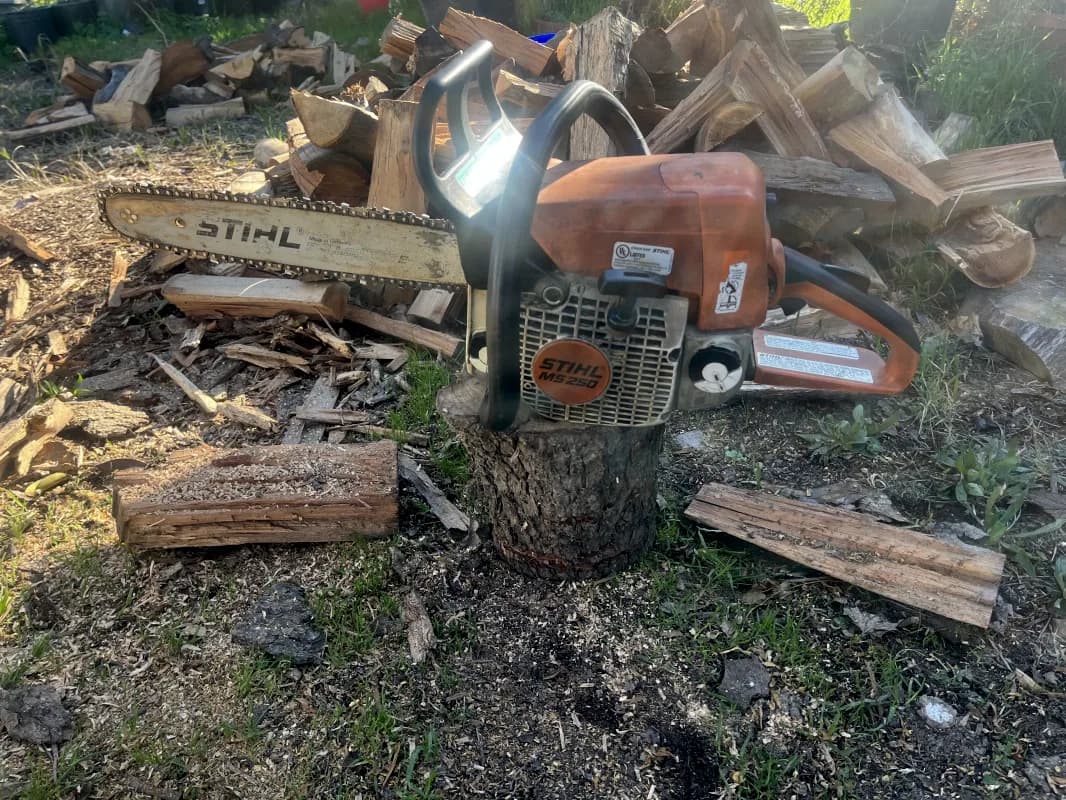 shtihl 16 inch chainsaw — photo 2 of 3